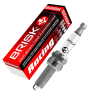 BUJIA PLATINO CR10YS BRISK (NGK LMAR9G LMAR9D-J LMAR9AI-8 LMAR9E-J SILMAR9A9S)