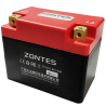 BATERIA ZONTES T310 T GENUINA
