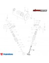VALVULA ADMISION HAOJUE NK150 DL160 DR160S