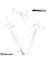 VALVULA ESCAPE HAOJUE NK150 DL160 DR160S
