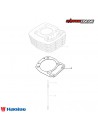 EMPAQUETADURA CILINDRO HAOJUE NK150 DL160 DR160S GENUINO