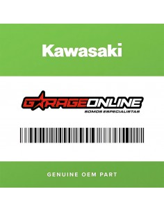 PEDIDO BODEGA KAWASAKI (24-72 HRS)