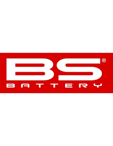 PEDIDO BODEGA BS BATTERY (24-72 hrs)