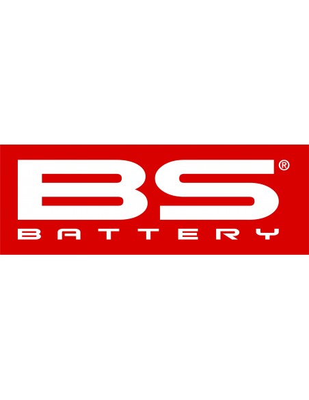 PEDIDO BODEGA BS BATTERY (24-72 hrs)